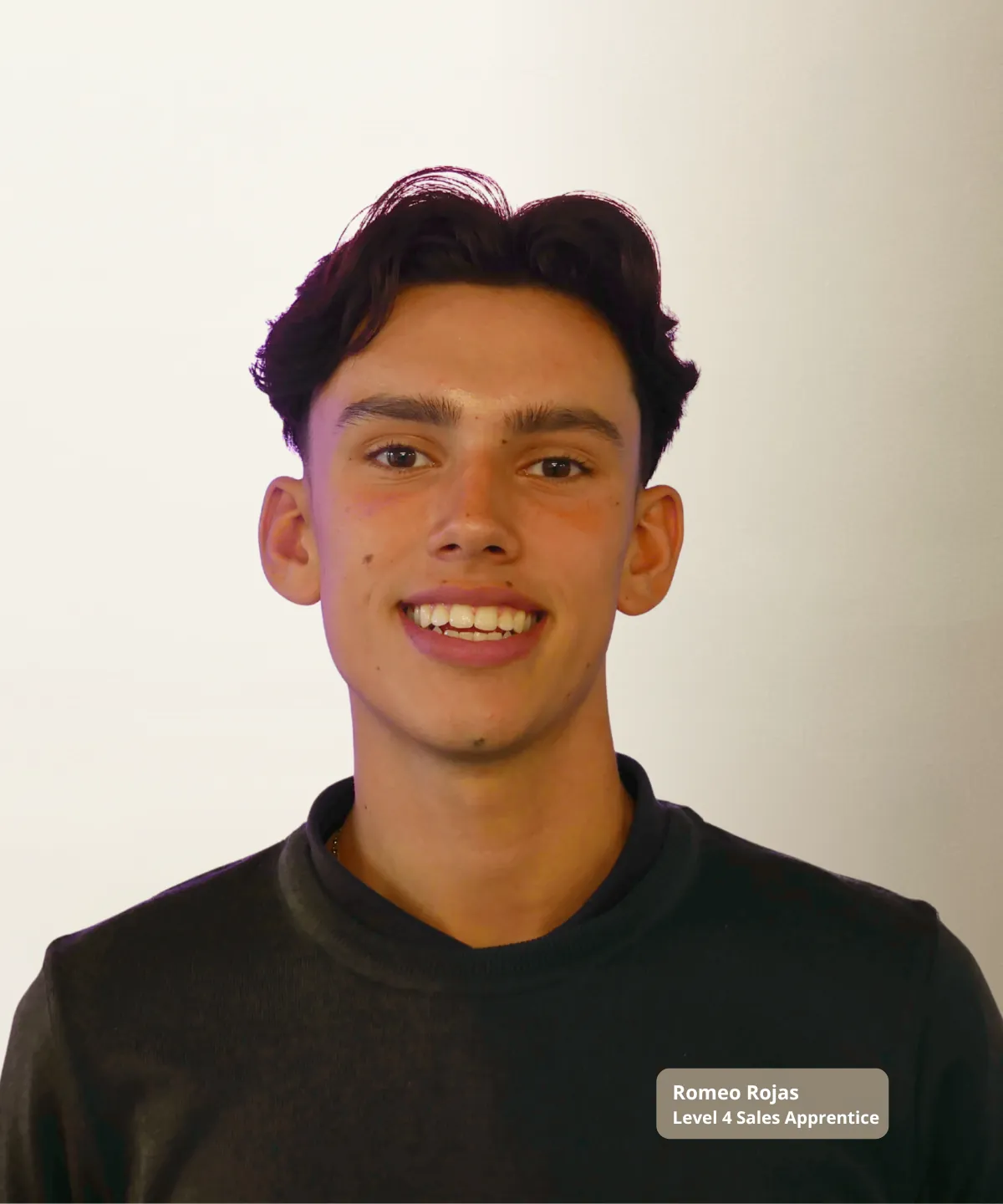 Learner considering an apprenticeship development route
