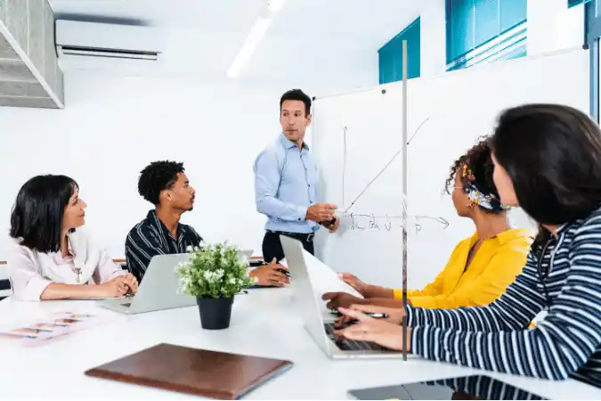 Professional reviewing workforce development plans.